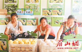 仁壽農(nóng)副產(chǎn)品 借力電商東風，香飄海外市場