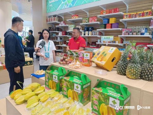 脫貧地區(qū)40余萬款農(nóng)副產(chǎn)品匯聚惠州，產(chǎn)銷對接精準(zhǔn)發(fā)力促農(nóng)增收