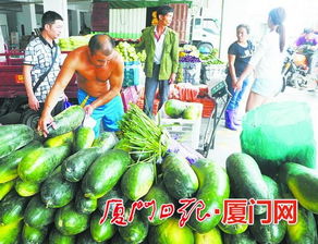 閩南農副產品物流中心試營業，構筑區域“菜籃子”新樞紐