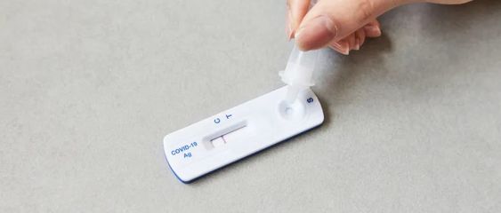 辟謠！“二陽”不發燒意味著免疫力更強？抗原顏色淺就是病毒載量低？專家解析真相